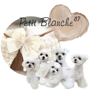 Petit Blanche87