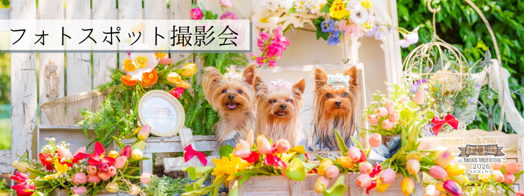 フォトスポット撮影会