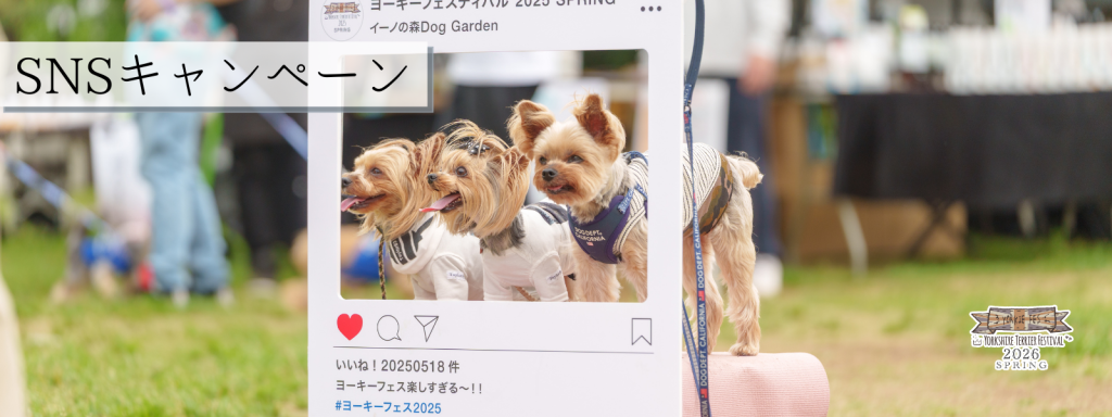 SNSキャンペーン