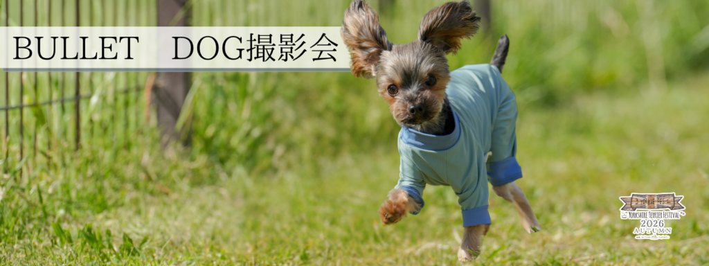 BULLET DOG撮影会
