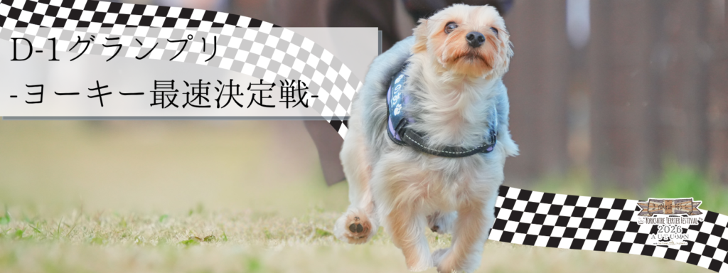 D-1グランプリ – ヨーキー最速決定戦 –