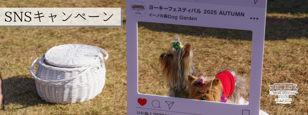 SNSキャンペーン