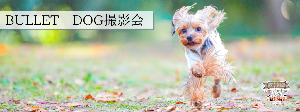 BULLET DOG撮影会