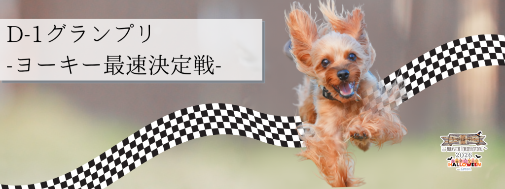 D-1グランプリ – ヨーキー最速決定戦 –