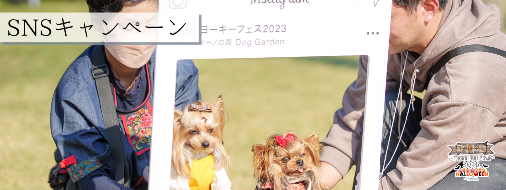 SNSキャンペーン