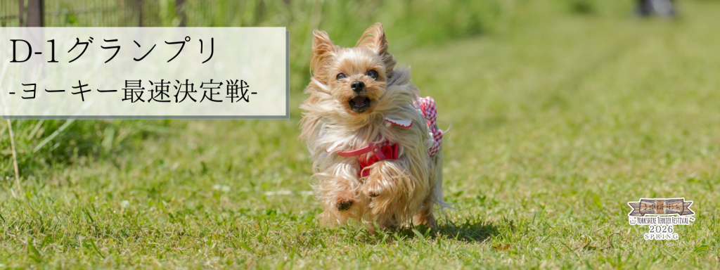 D-1グランプリ – ヨーキー最速決定戦 –
