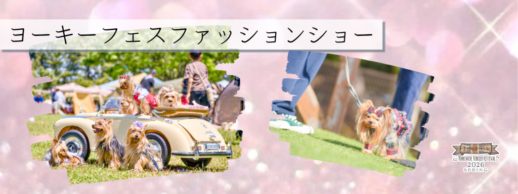ヨーキーフェスファッションショー