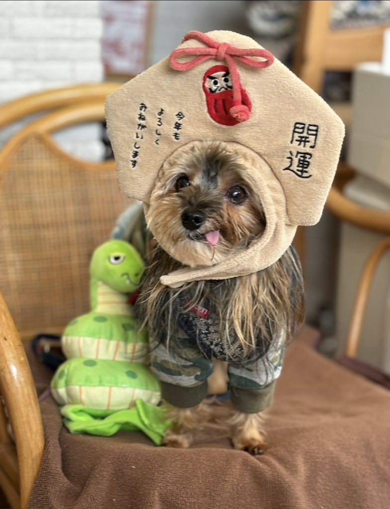 ラヴちゃん