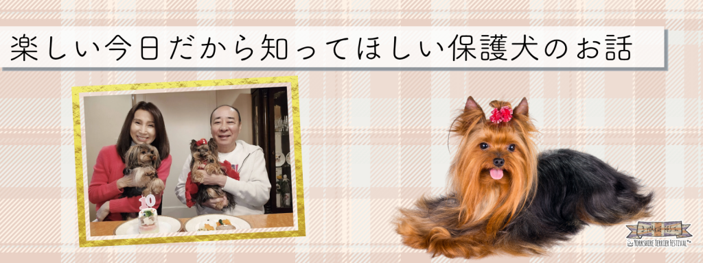 楽しい今日だから知ってほしい保護犬のお話