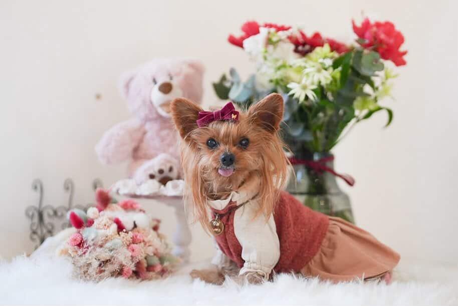 チェリーちゃん