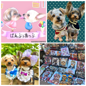ばんぶぅあっぷ