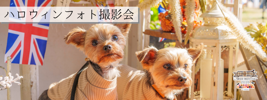 ハロウィンフォト撮影会@大阪北港マリーナ