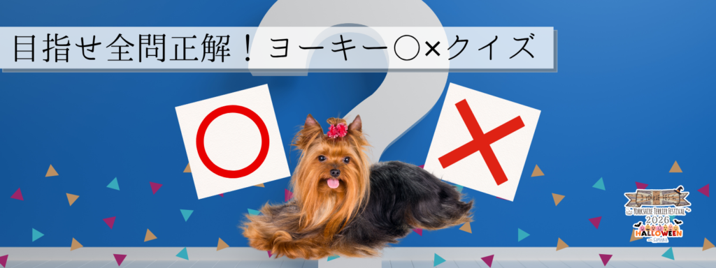 目指せ全問正解！ヨーキー〇✕クイズ