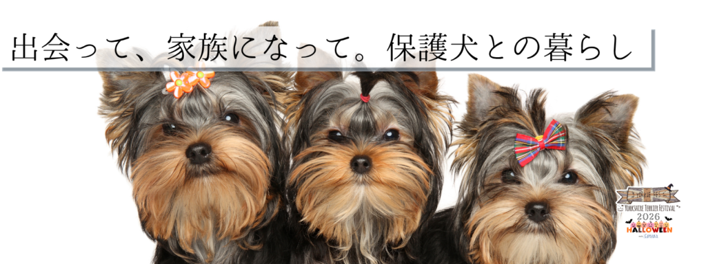 出会って、家族になって。保護犬との暮らし